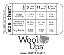 WoolUps - wool soakers, single pair